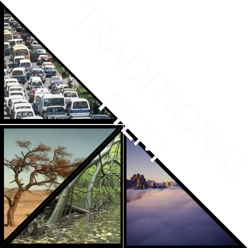 traditional film