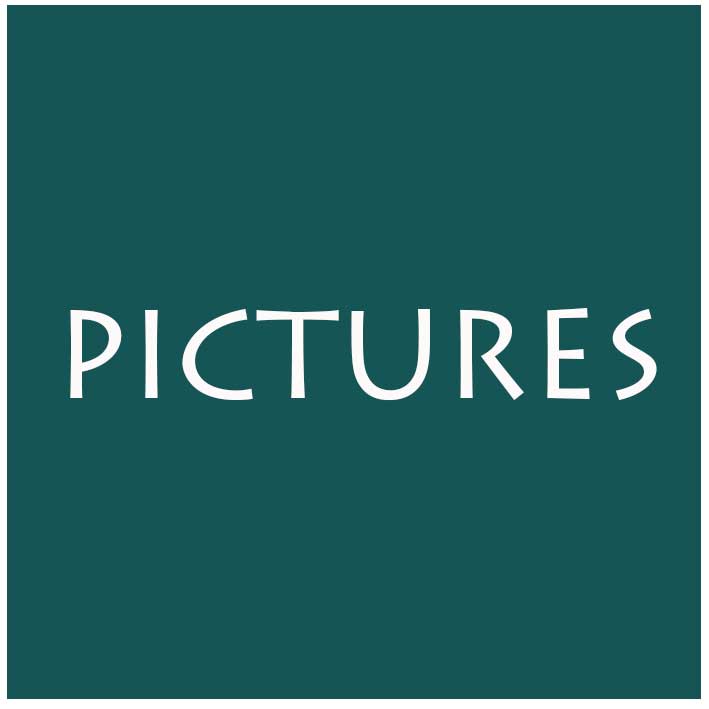 pictures button