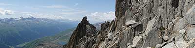 Garstnerhorner, Grimselpass