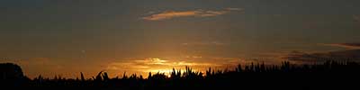 sunset over Maisfields in the Achterhoek, teh Netherlands