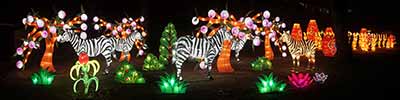 Antwerp Zoo, Chinese Lights 2018